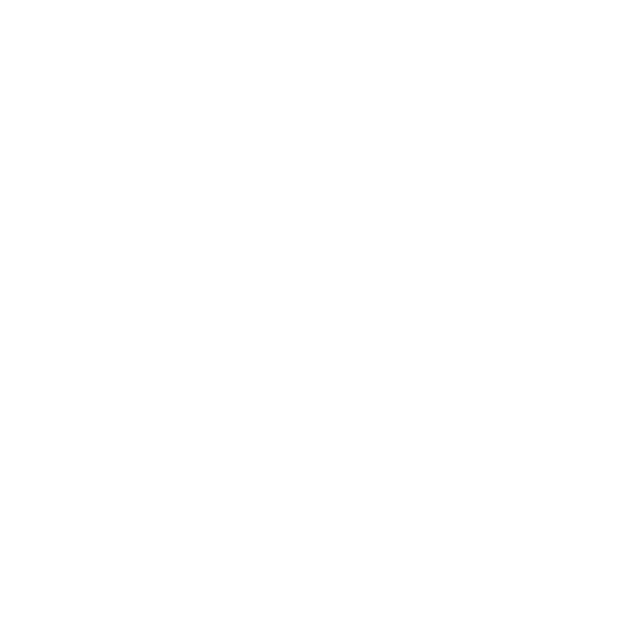 MIX FLOWERS