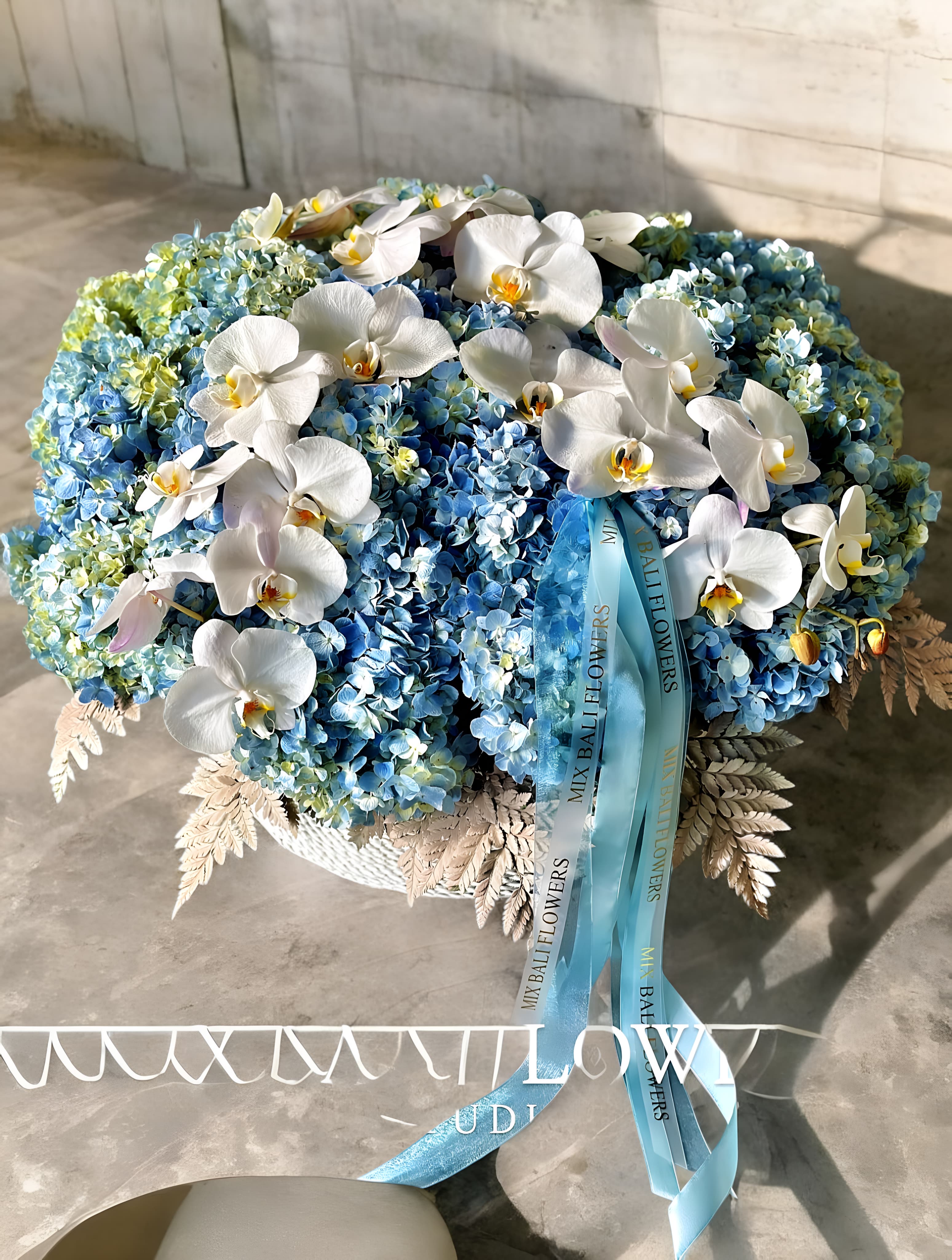 Tiffany Blue Hydrangea Huge Basket XXL